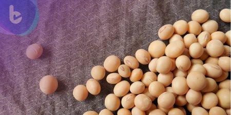 這些乳癌病友吃黃豆　有助延長壽命